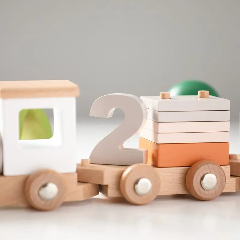 Montessori Wooden Train Toy Set ™TheTinyLions