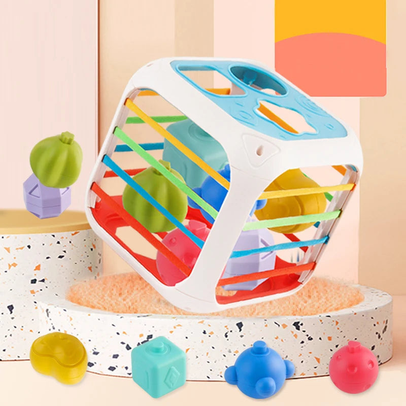 Sensory Shape Sorter Toys ™TheTinyLions