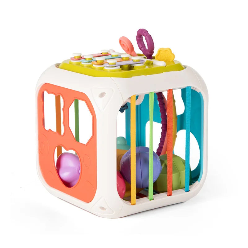 Sensory Shape Sorter Toys ™TheTinyLions