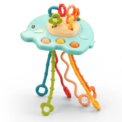 Sensory Shape Sorter Toys ™TheTinyLions