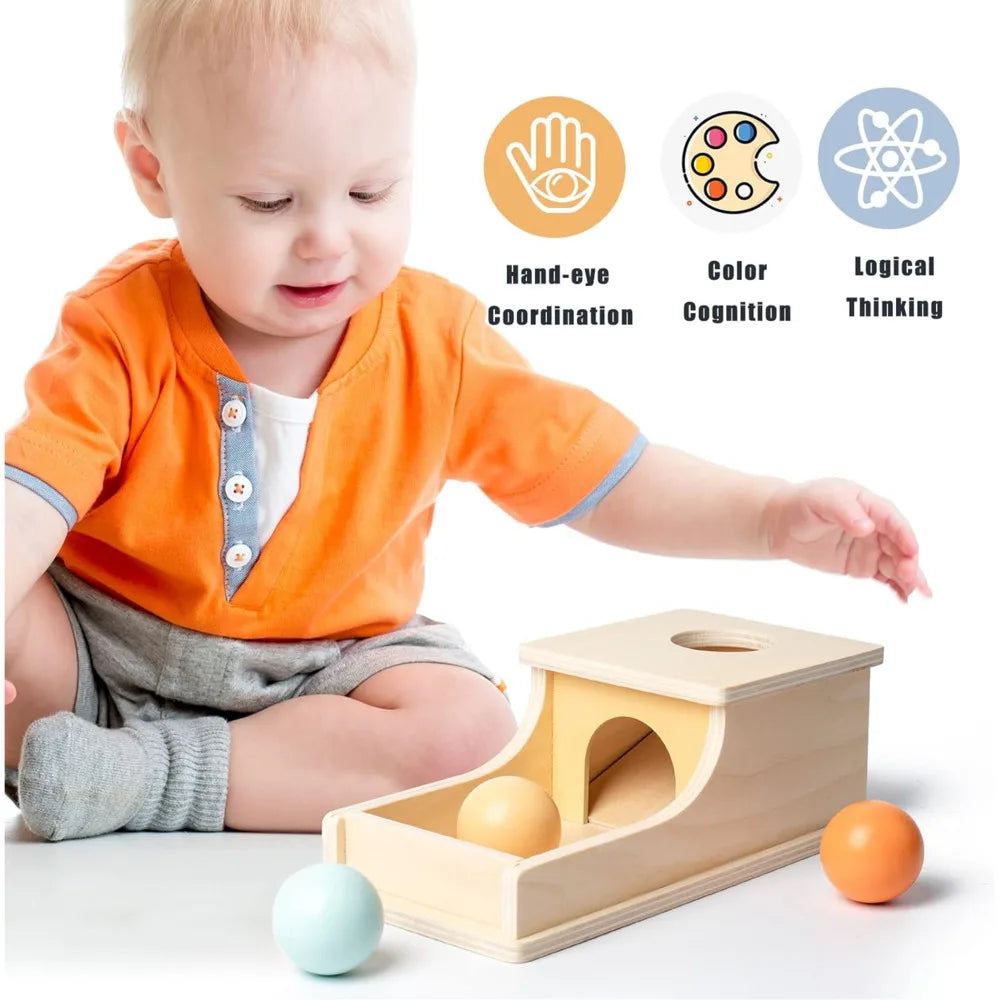 Montessori Coin Ball ™TheTinyLions