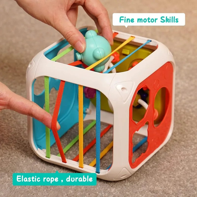 Sensory Shape Sorter Toys ™TheTinyLions