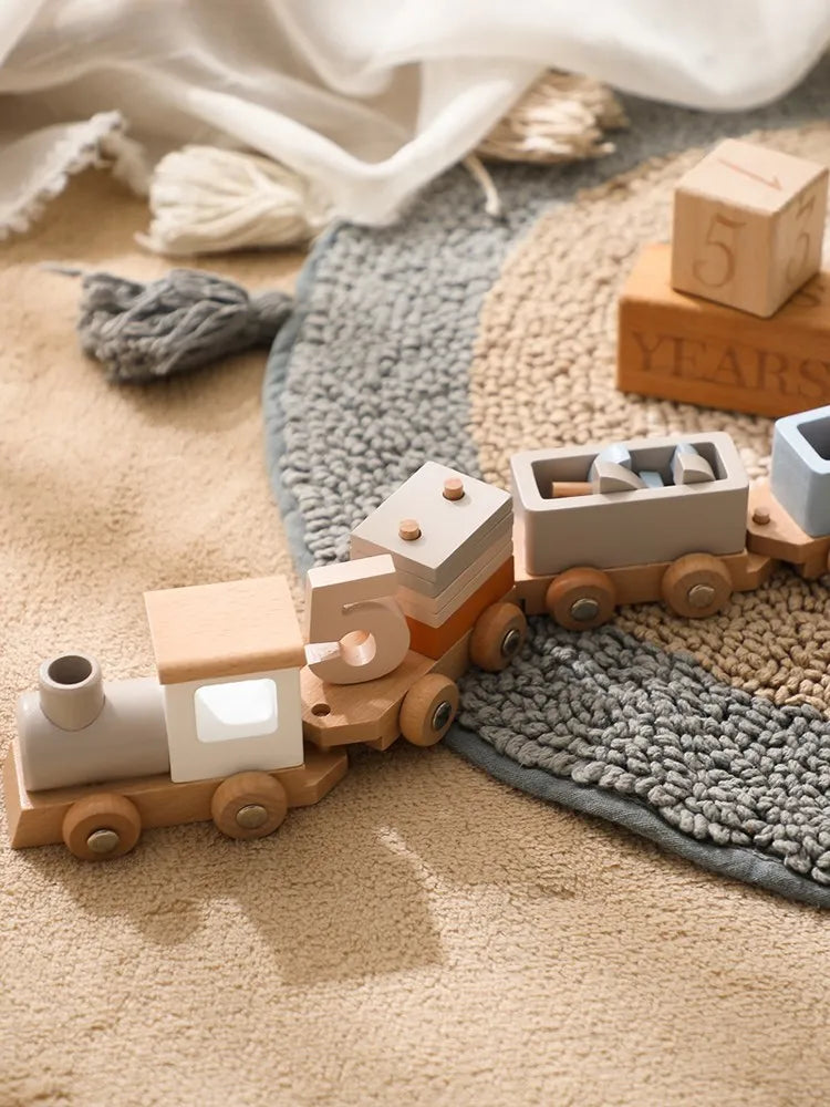 Montessori Wooden Train Toy Set ™TheTinyLions