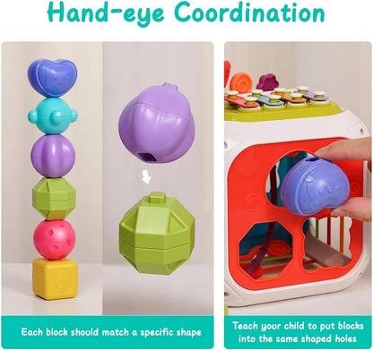 Sensory Shape Sorter Toys ™TheTinyLions