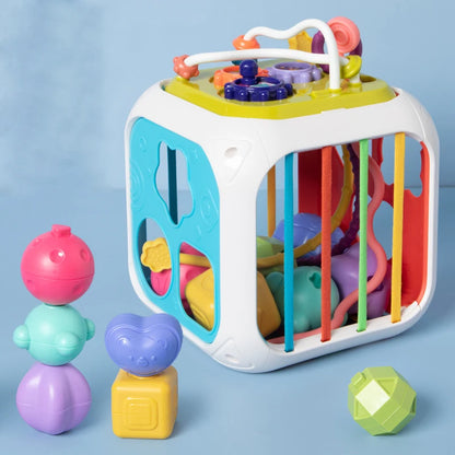 Sensory Shape Sorter Toys ™TheTinyLions